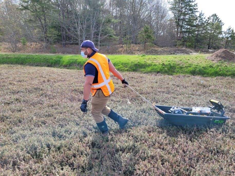 Environmental Restoration: GPR for Cranberry Bog Reclamation